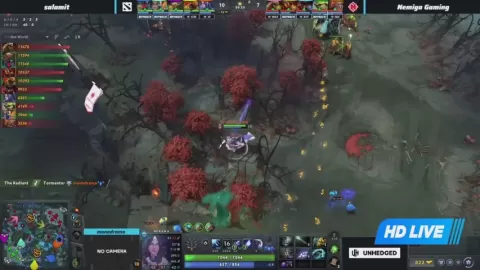 Poster siaran salamit VS Nemiga Gaming